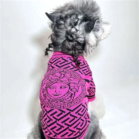 versace dog carrier|versace dog accessories.